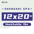 Shanghai GP3 100 Black and White Negative Film 12x20" Sheet Film 10 Sheets-SHANGHAI GP3-shjcfilm.myshopify.com