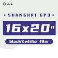 Shanghai GP3 100 Black and White Negative Film 16x20" Sheet Film 10 Sheets-SHANGHAI GP3-shjcfilm.myshopify.com