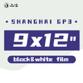 Shanghai GP3 100 Black and White Negative Film 9x12" Sheet Film 50 Sheets-SHANGHAI GP3-shjcfilm.myshopify.com